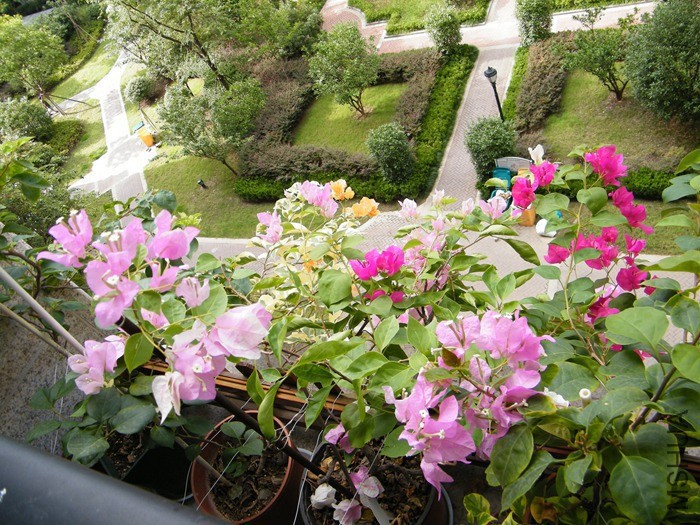 2016 08 12 025.jpg