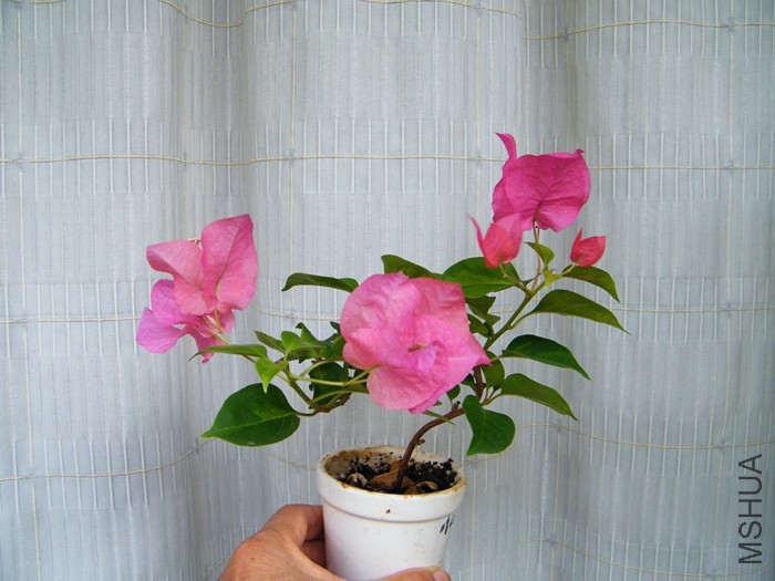 2016 08 24 003.jpg