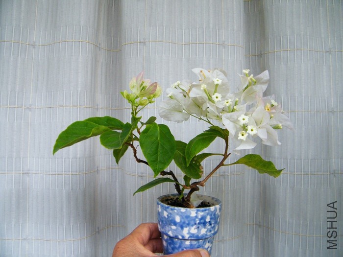 2016 08 24 001.jpg