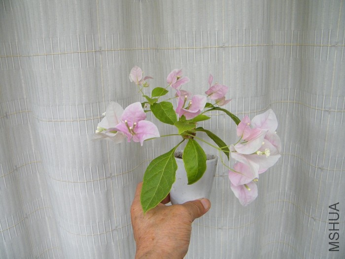 2016 08 24 030.jpg