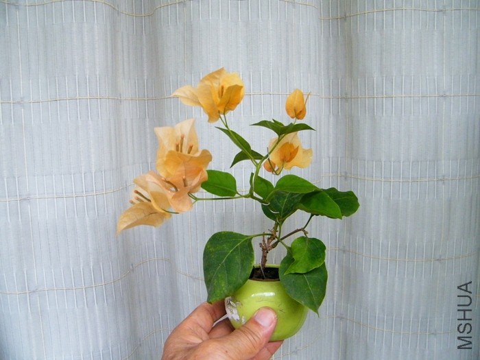 2016 08 24 004.jpg