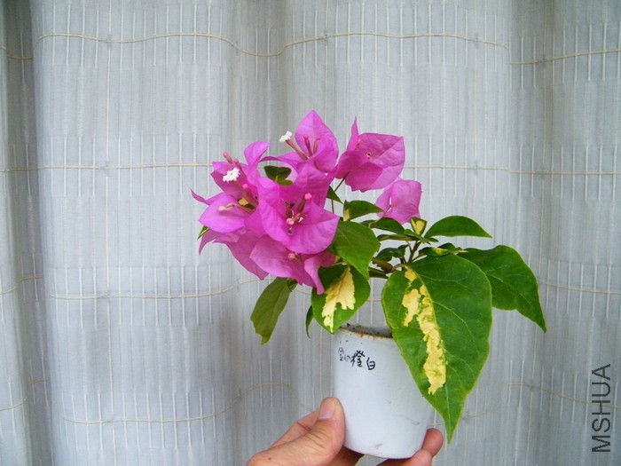 2016 08 24 010.jpg