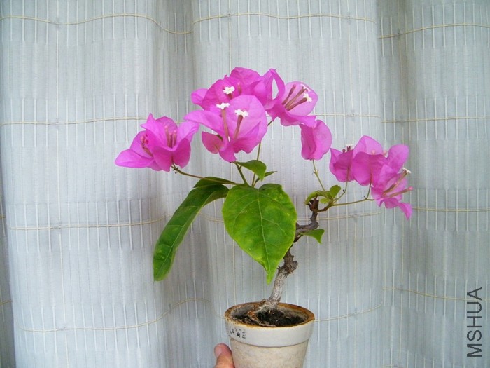 2016 08 24 011.jpg