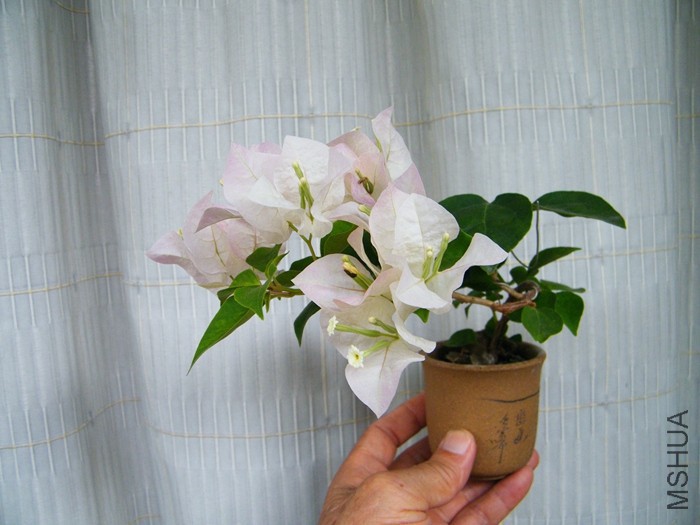 2016 08 24 013.jpg