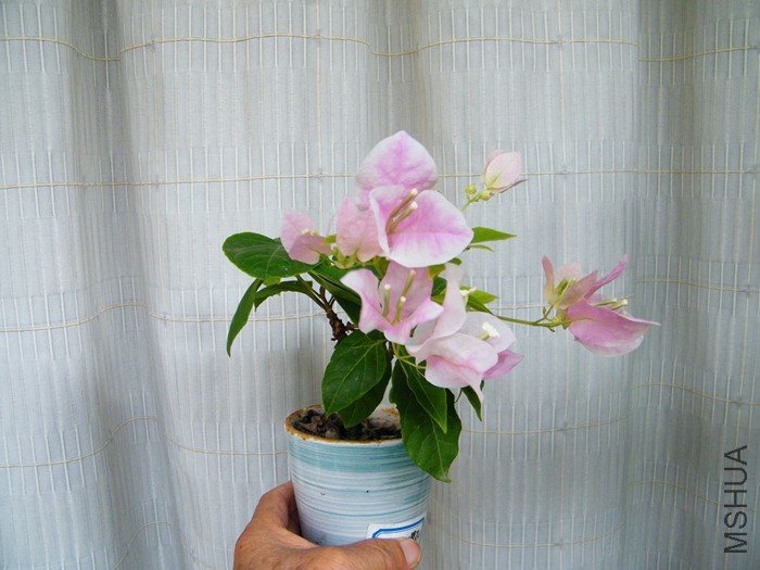 2016 08 24 017.jpg