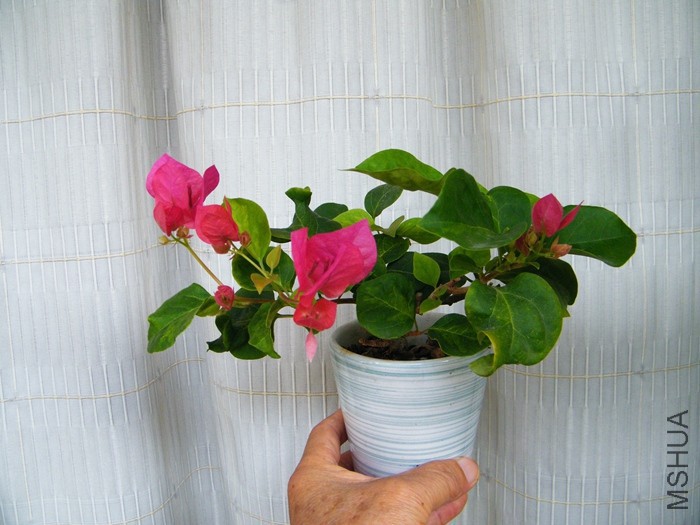 2016 08 24 018.jpg