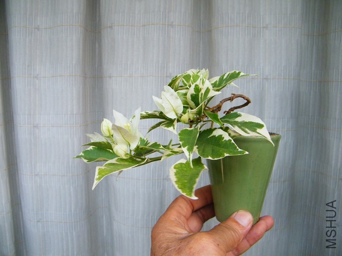 2016 08 24 021.jpg