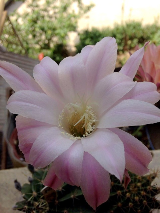 �׷�.jpg