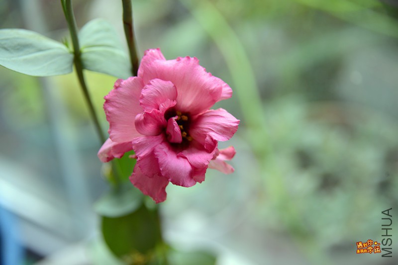 ��Ƭ 003_����.jpg