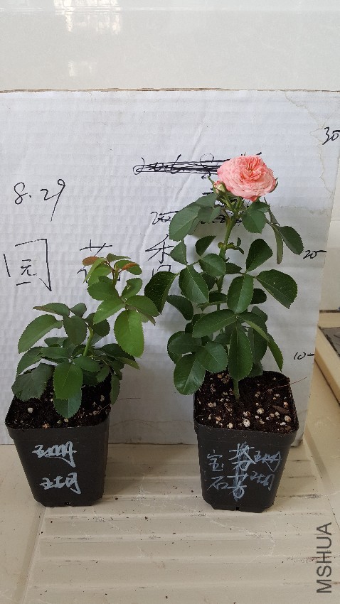 20160829_143751.jpg