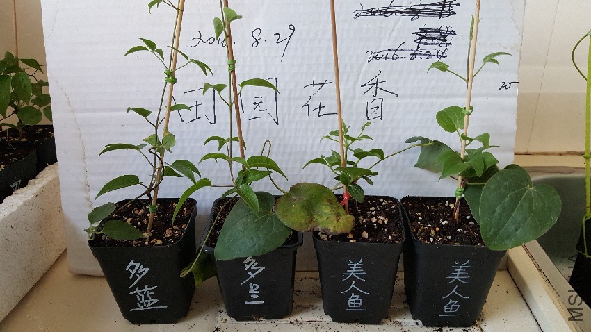 20160829_174031.jpg