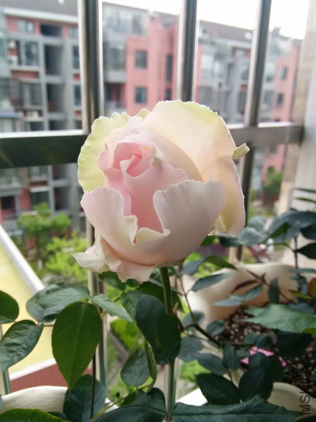 Ǯ������
