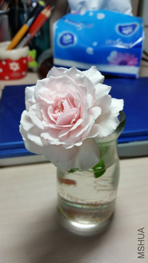 QQͼƬ20160830165020.jpg