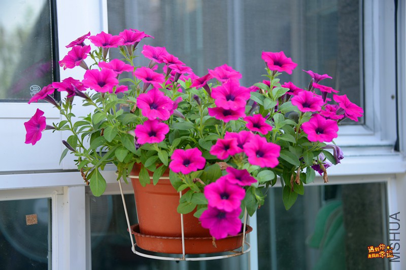 ��Ƭ 016_����.jpg