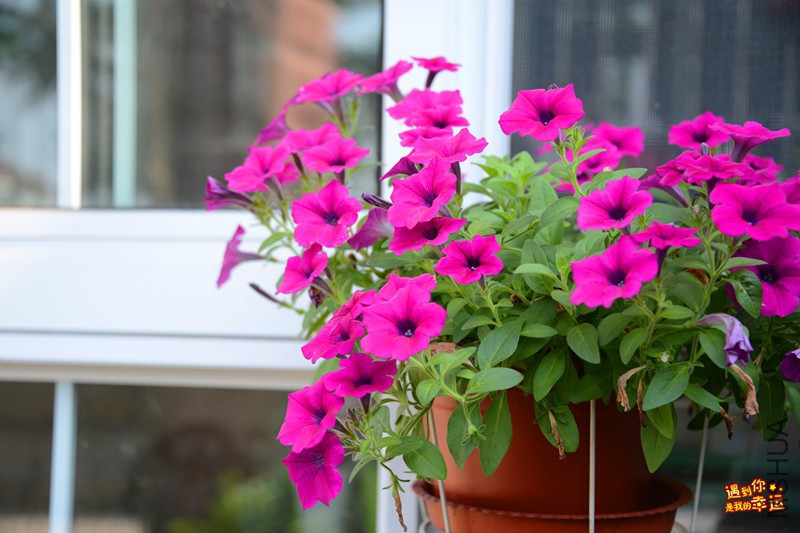 ��Ƭ 018_����.jpg