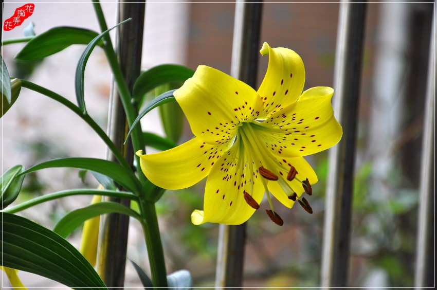 DSC_5841.jpg
