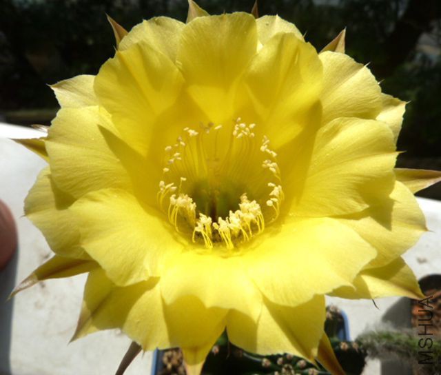 C24@.JPG