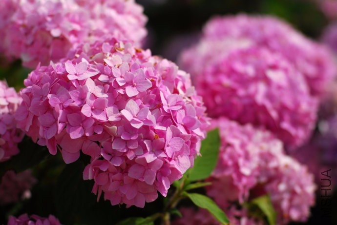 67e176b5gdfa253cf70a5&amp;690.jpg