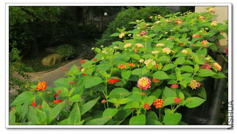 2013061905.jpg