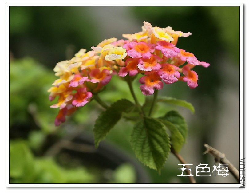 2013050704.jpg