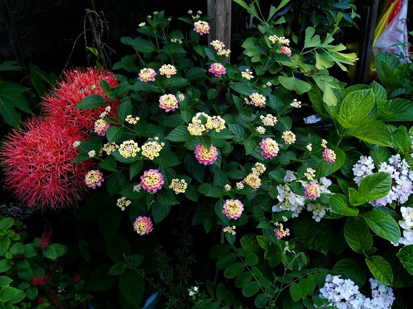 6a56ad4bd11373f0e7ea9dabac0f4bfbfaed04c6.jpg