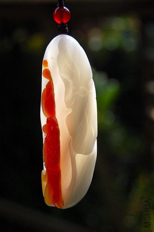 DSC_33550025.JPG