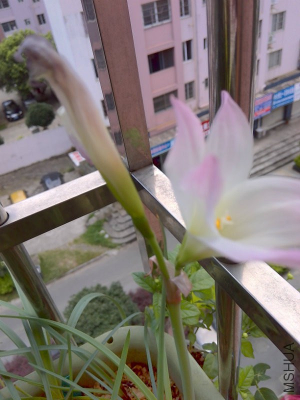 IMG_20160624_121116_HDR.jpg