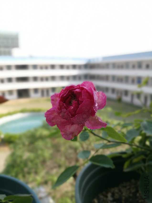 IMG_20160903_094846.jpg