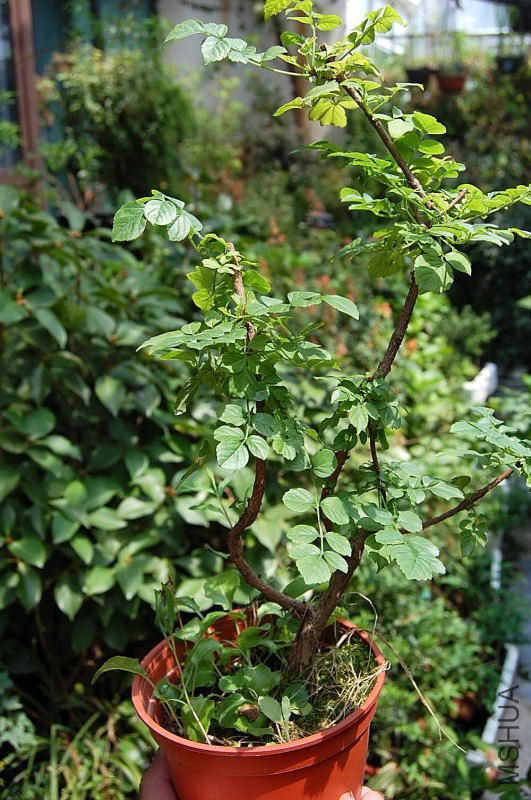 DSC_20220072.JPG
