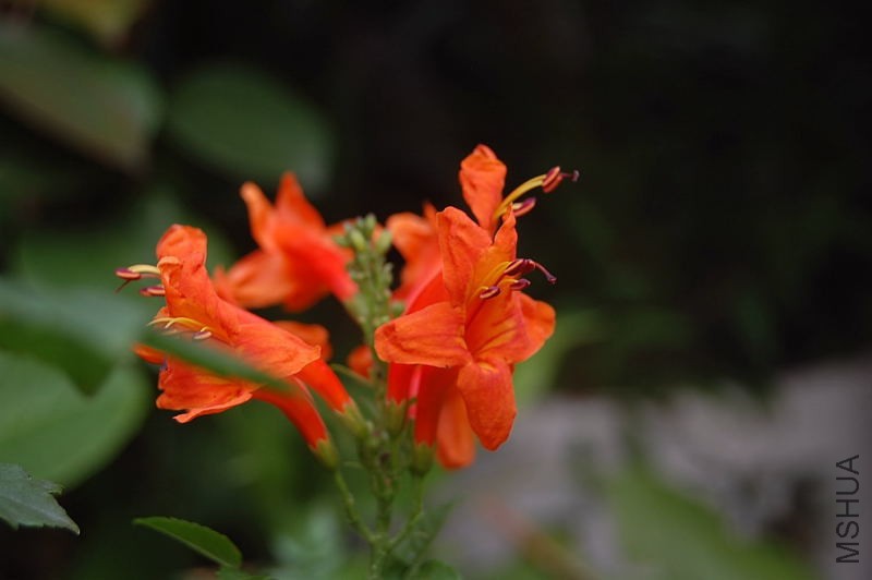 DSC_00230023.JPG