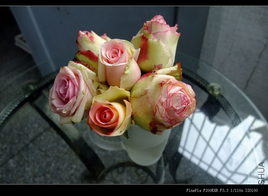 DSCF2059_����.jpg