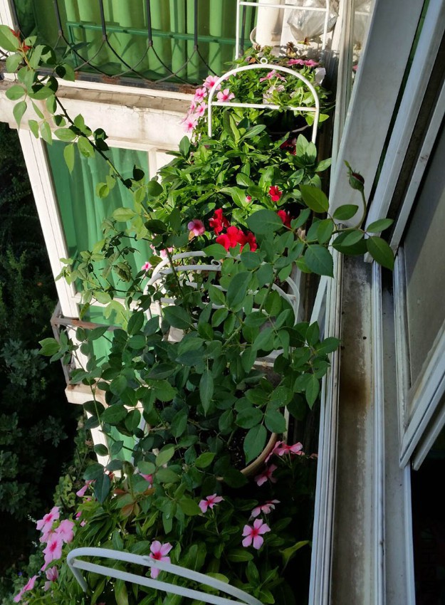 QQͼƬ20160906074208.jpg