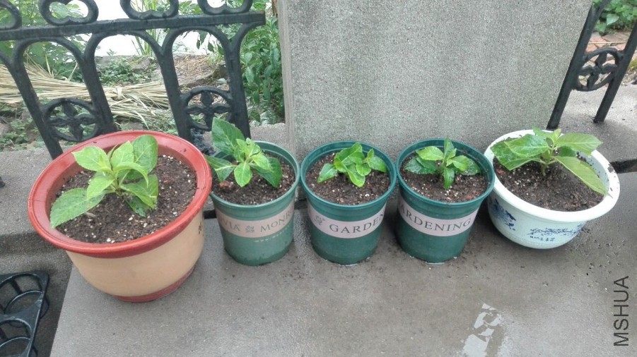 �������20160906.jpg
