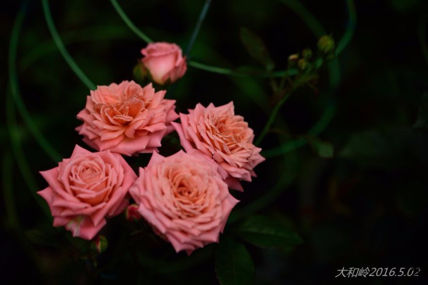 150643qrrza7raaxs76ans.jpg