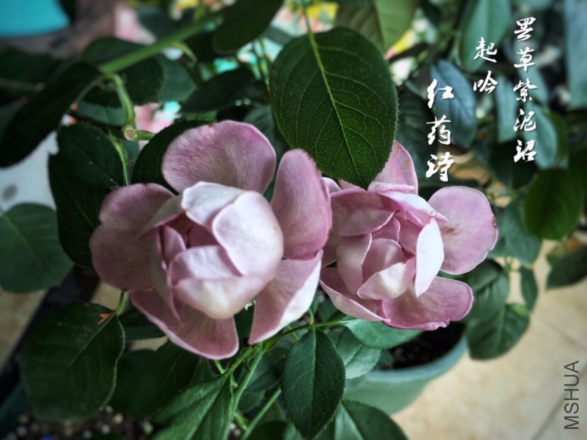 97de4f171ae57bde148b41c756fa088.jpg