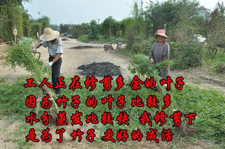5.JPG