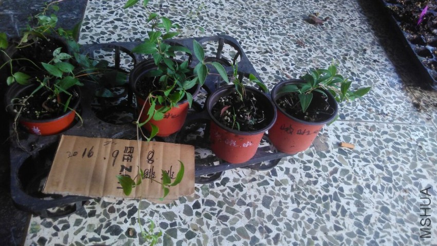 QQͼƬ20160908173453.jpg