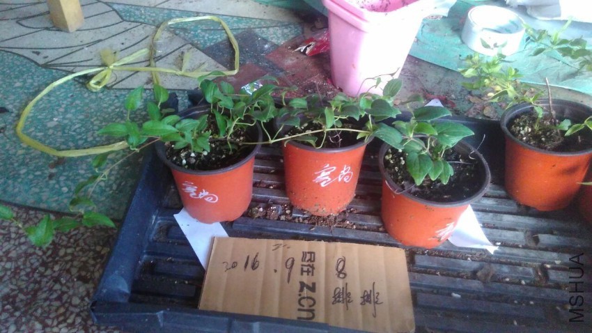 QQͼƬ20160908173432.jpg