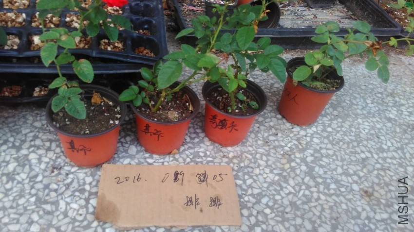 QQͼƬ20160908173541.jpg