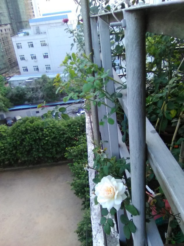 IMG_20160908_173843.jpg