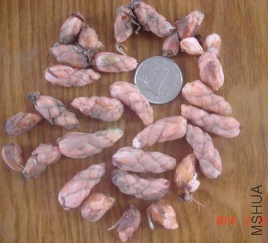 513842012213221535.jpg