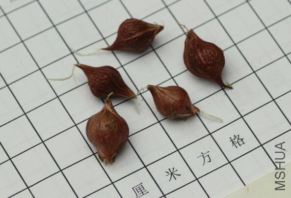 QQ�?��20160715204411.jpg