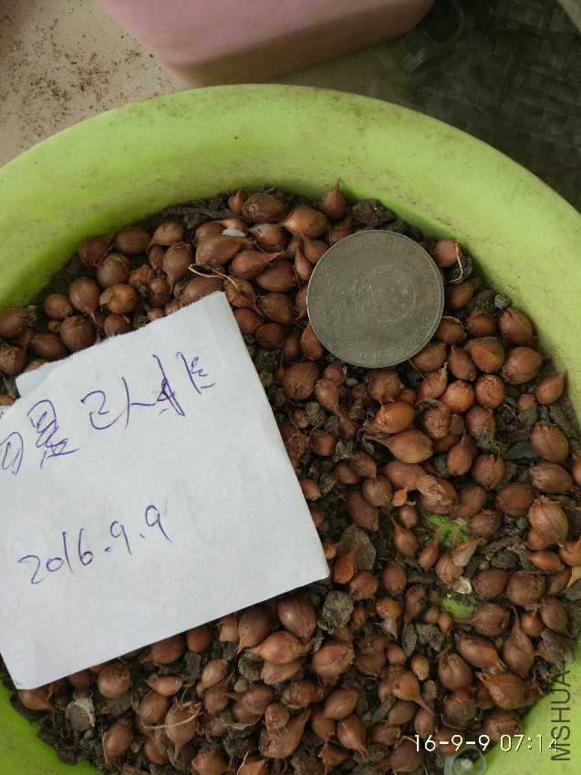 IMG_20160909_071438.jpg