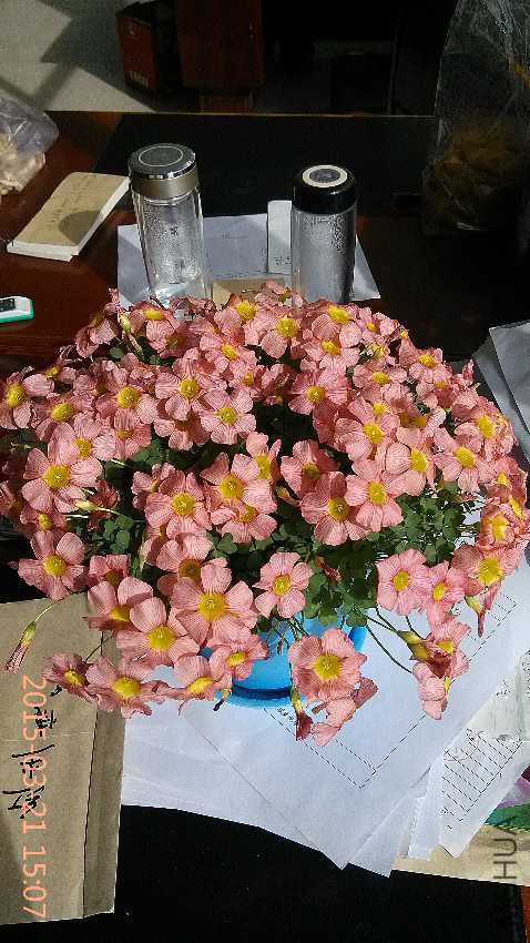 IMG_20150321_150726.jpg