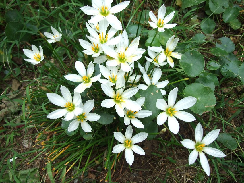 DSCF7260.jpg