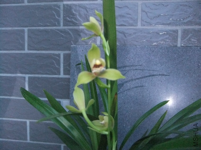 DSCF4736.JPG