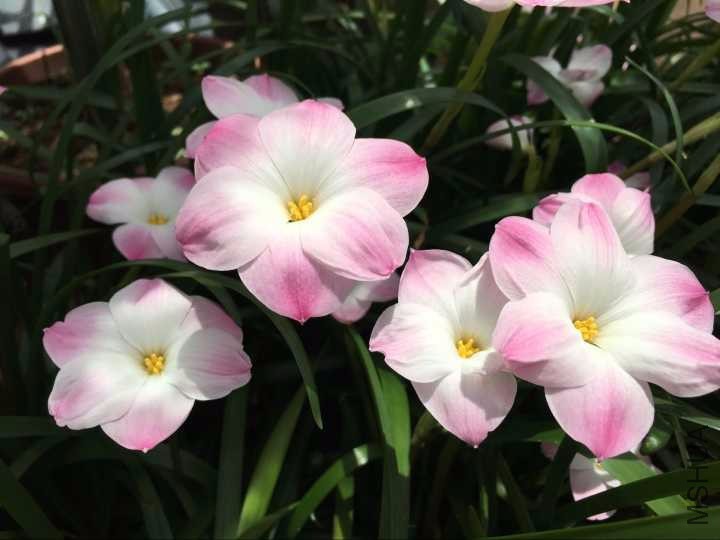 BR0W7Q4{C6U43GNT_YO[O6D.jpg