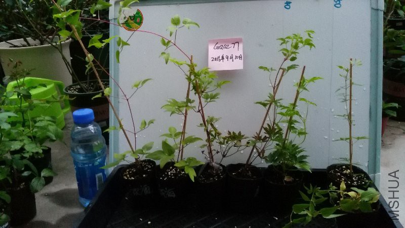 ���ף�������ף������˹̹�Σ���˹̹�Σ���˹̹�Σ����ǣ����