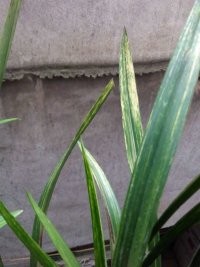 2345_image_file_copy_2.jpg