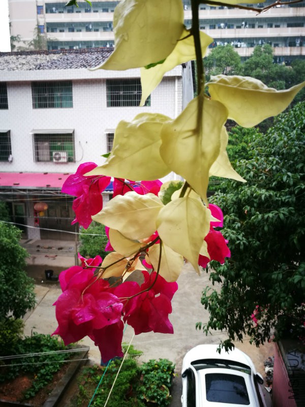 IMG_20160910_130455.jpg